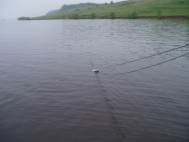 Акция "Нерест без сетей - 2011!", рыбалка на Волге. Вытаскиваем сети.