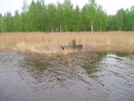 Санитарная охрана водоемов. Акция "Нерест без сетей 2011"